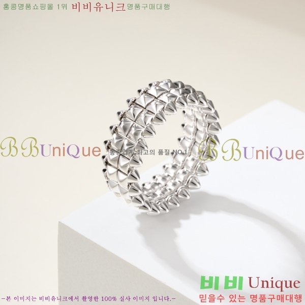 �������� ��쿡 ���� CA2450733-1