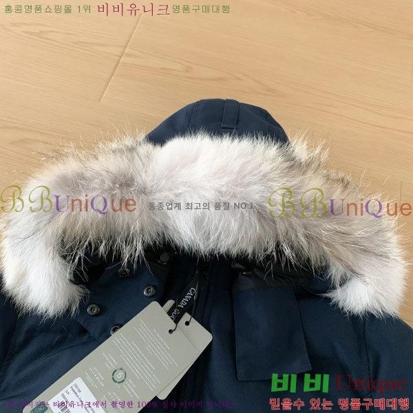 ���� ĳ���ٱ��� �ٿ� �е� CAG15738-5