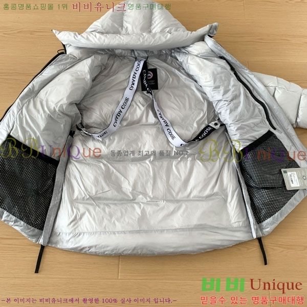 ���� ĳ���ٱ��� �ٿ� �е� CAG15739-2